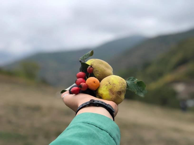 Կառավարման խորհուրդ