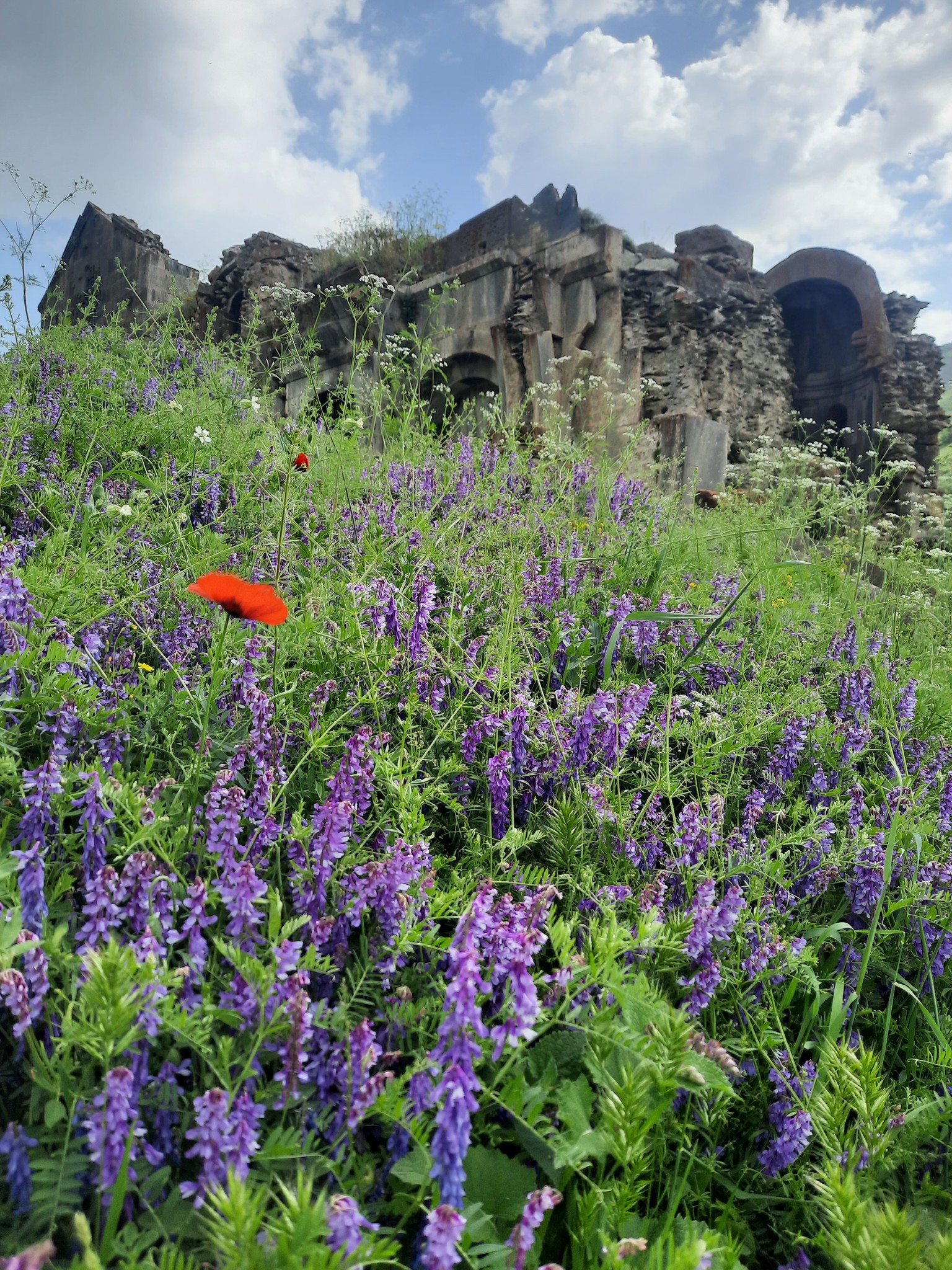 Մայրենիի ֆլեշմոբ. հունիս