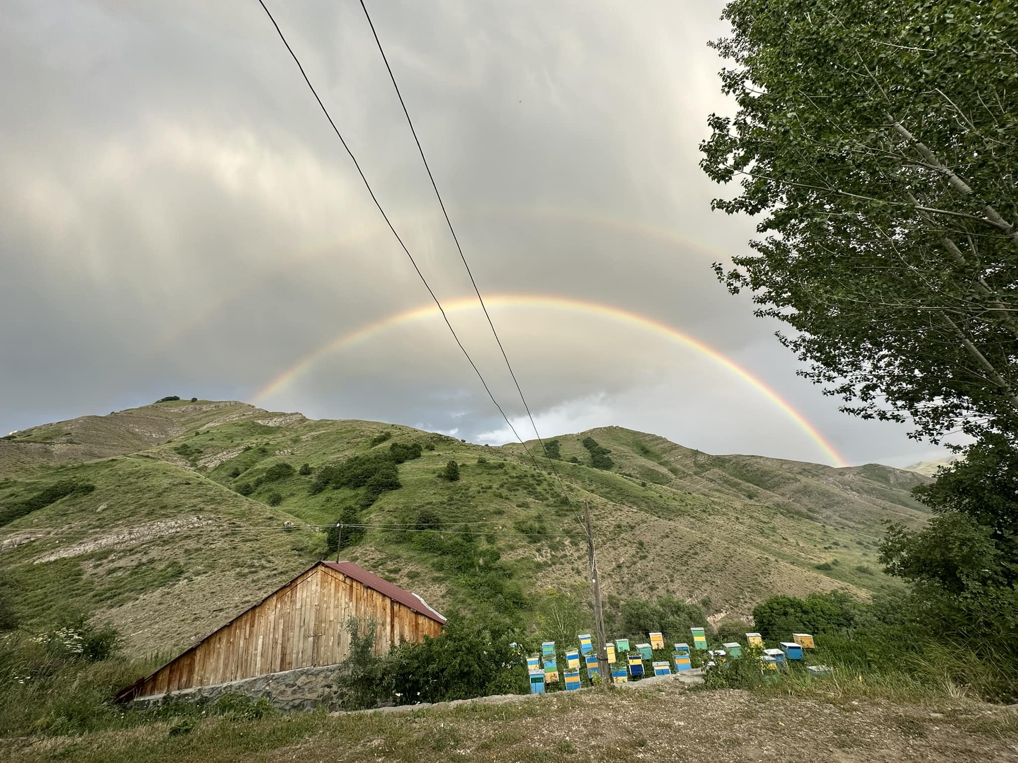 Ճամբար Արատեսում