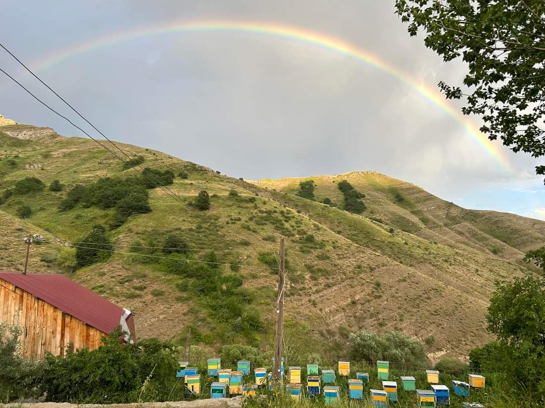 Արատեսի ճամբարից