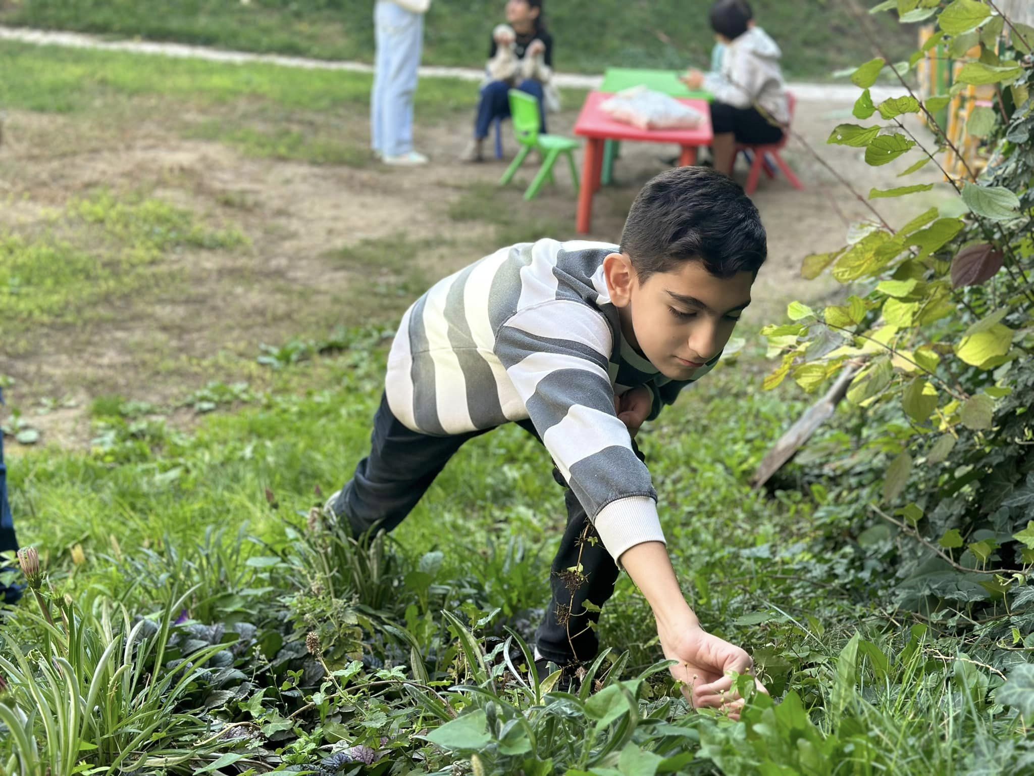 Կաթնամաթերքի արտադրություն