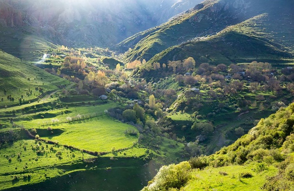 Սովորողի անհատական նախագիծ