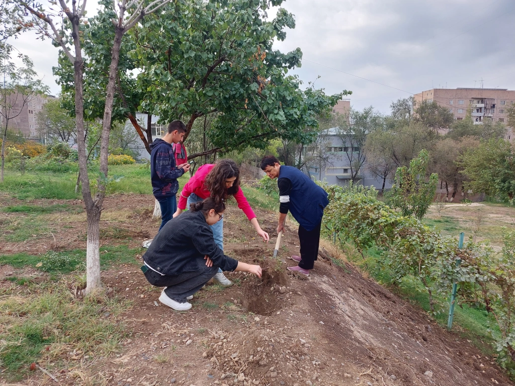  Հաղորդում 7. Քոլեջի նորատունկ մասրենիները