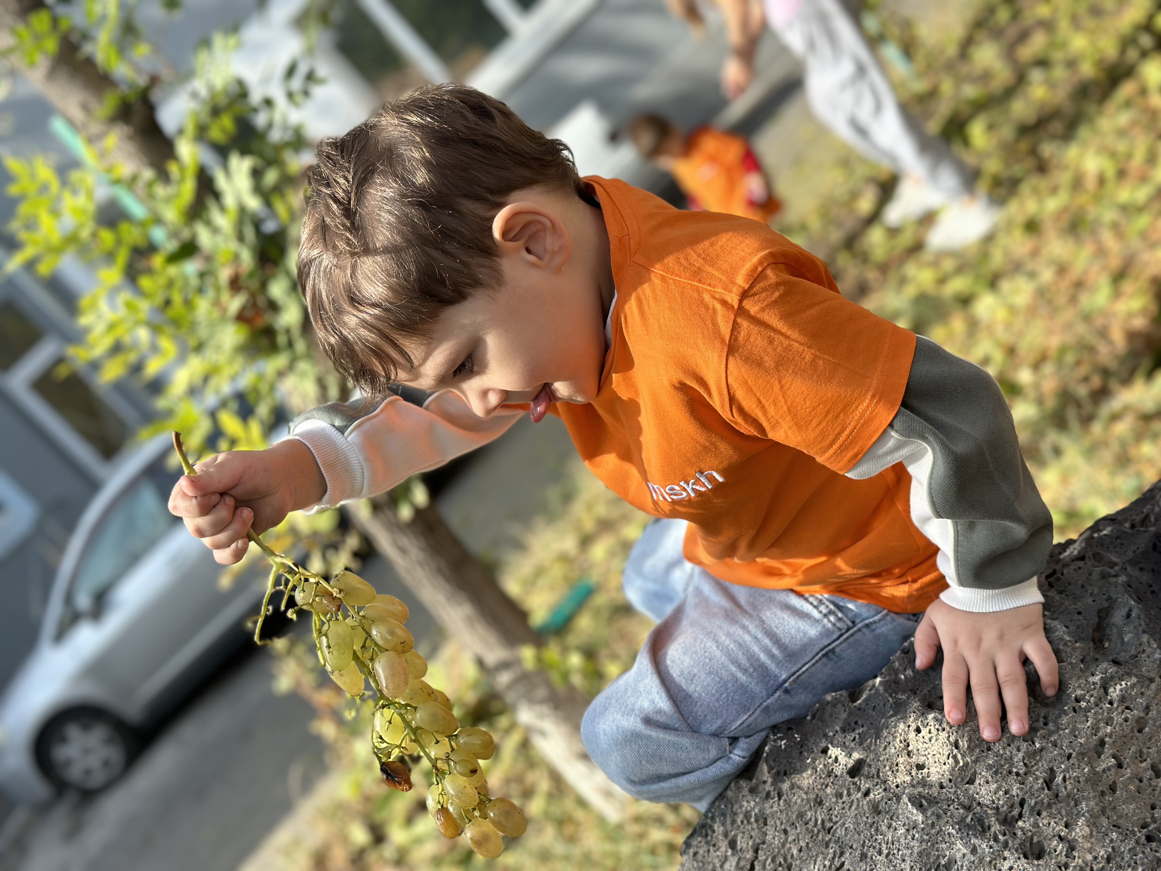 Խաղողածես.