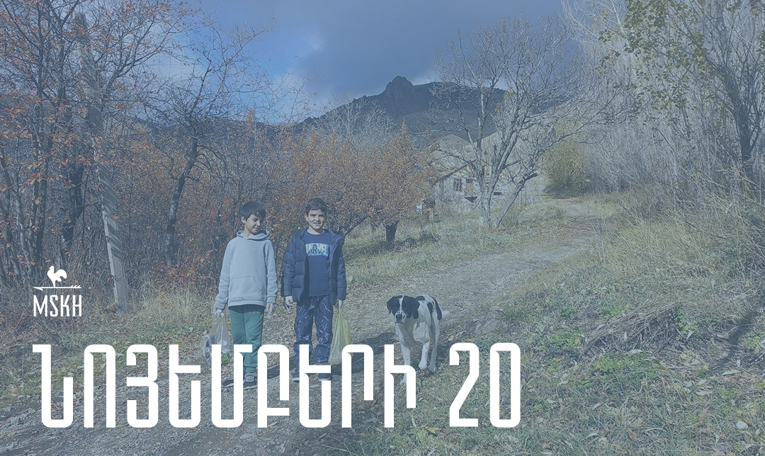 Նոյեմբերի 20