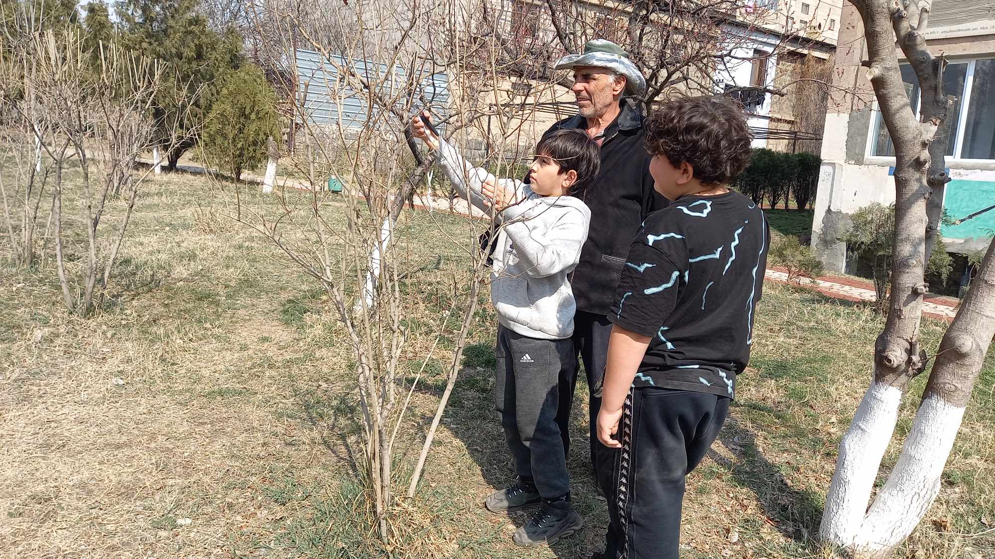 Ծառերի և խաղողի վազերի էտ