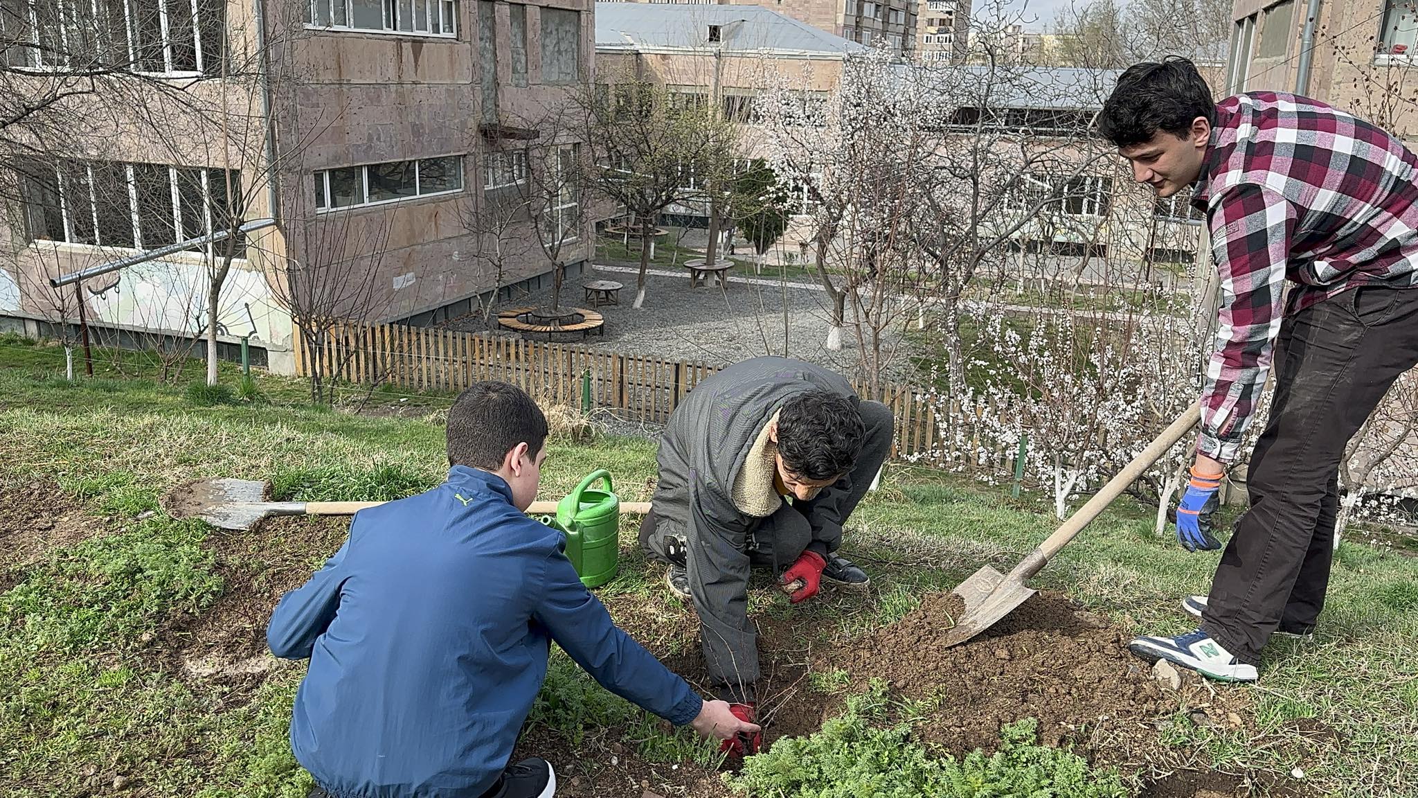 Ծառատունկ քոլեջի լանջերին