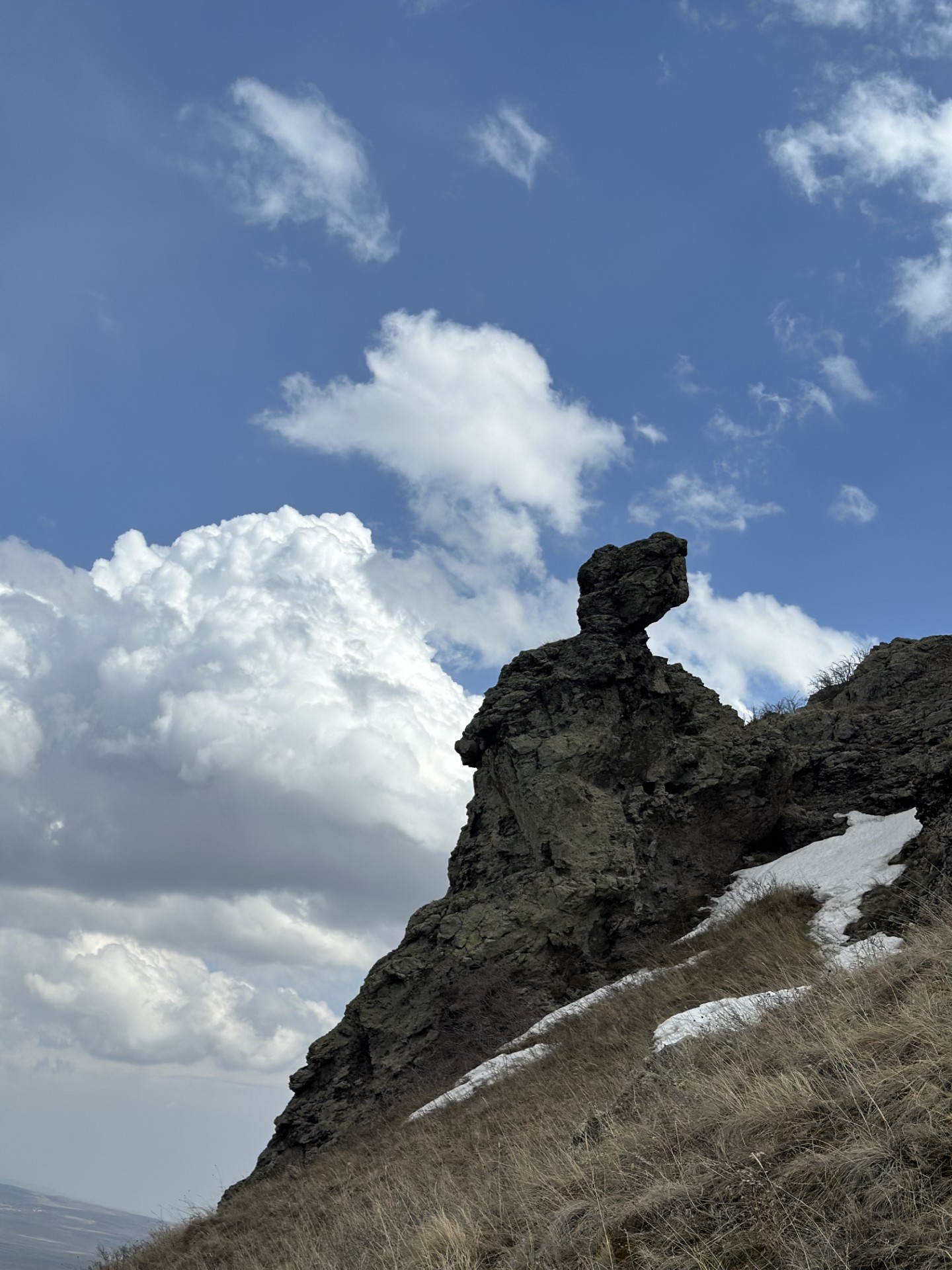 Տարբերվող Tvի