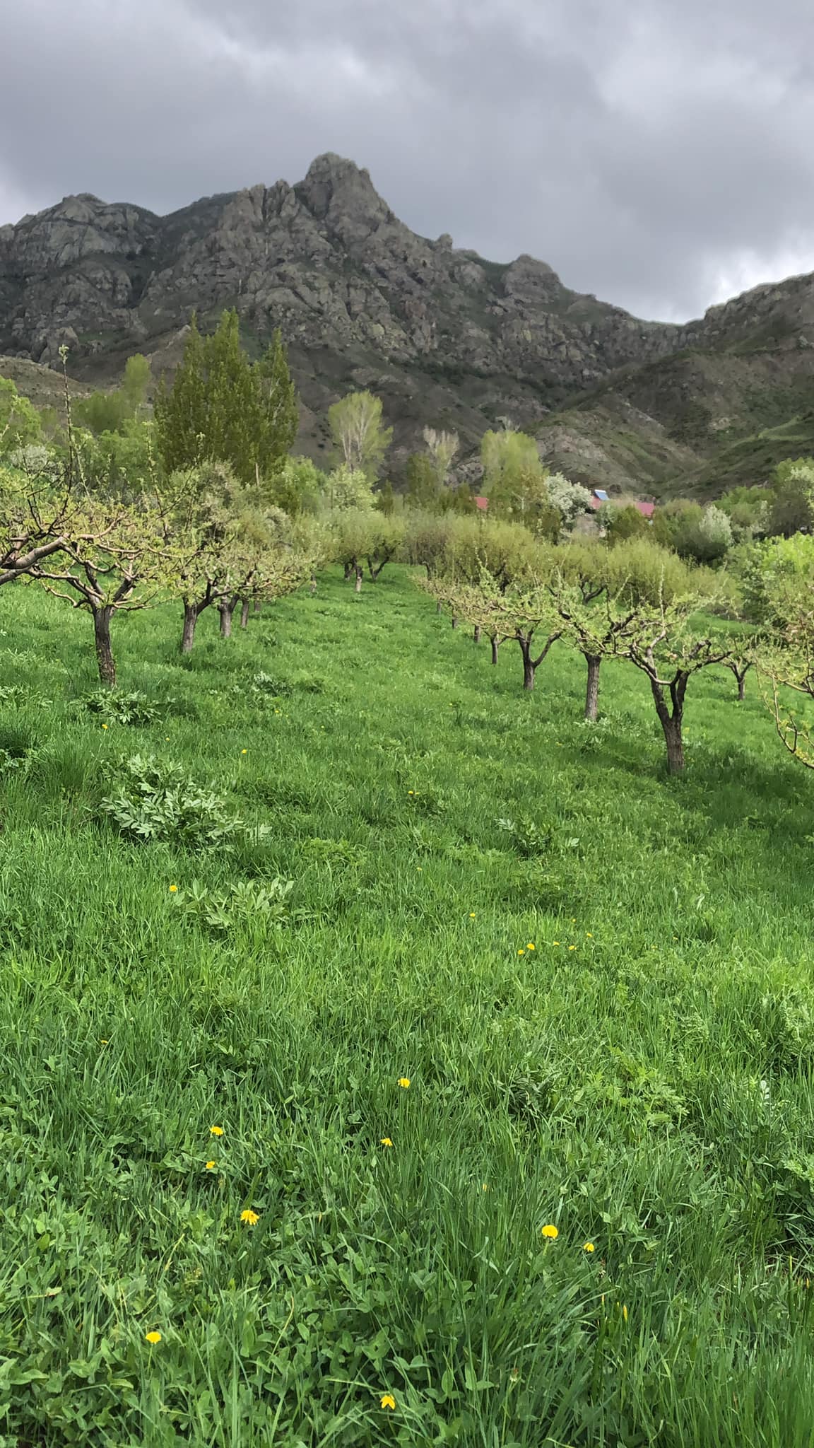 Երկարացված օրվա ճամբար․ մայիսի 13-ից 17-ը