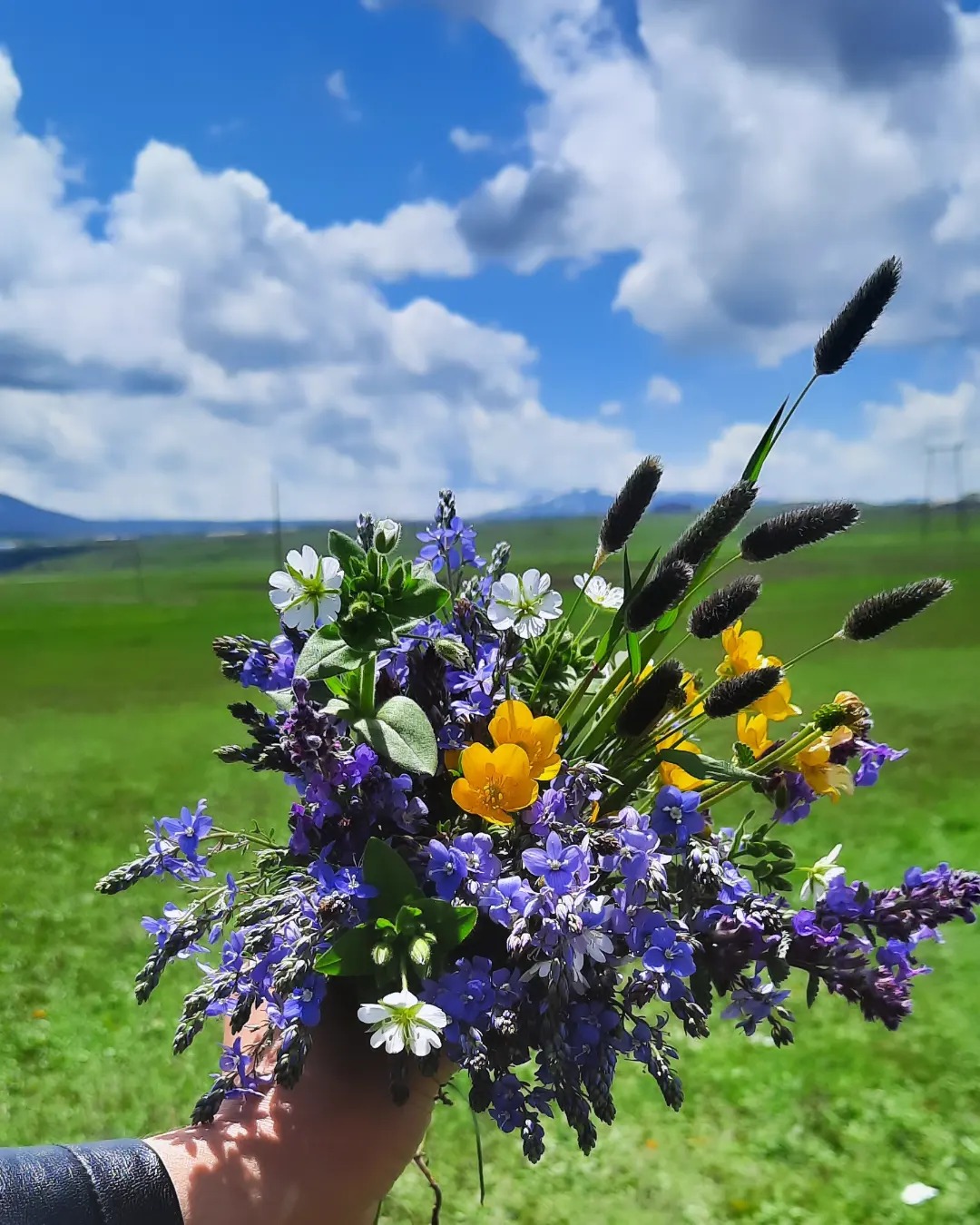 Ռուսերենի ֆլեշմոբ։ Մայիս