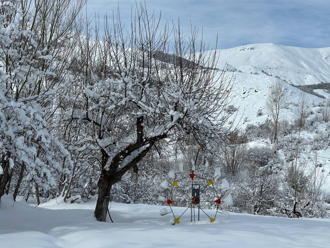 Մանկավարժական խորհրդի կանոնակարգ