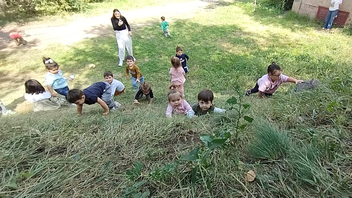 Պարտեզիկների հաղթահարած բարձունքը