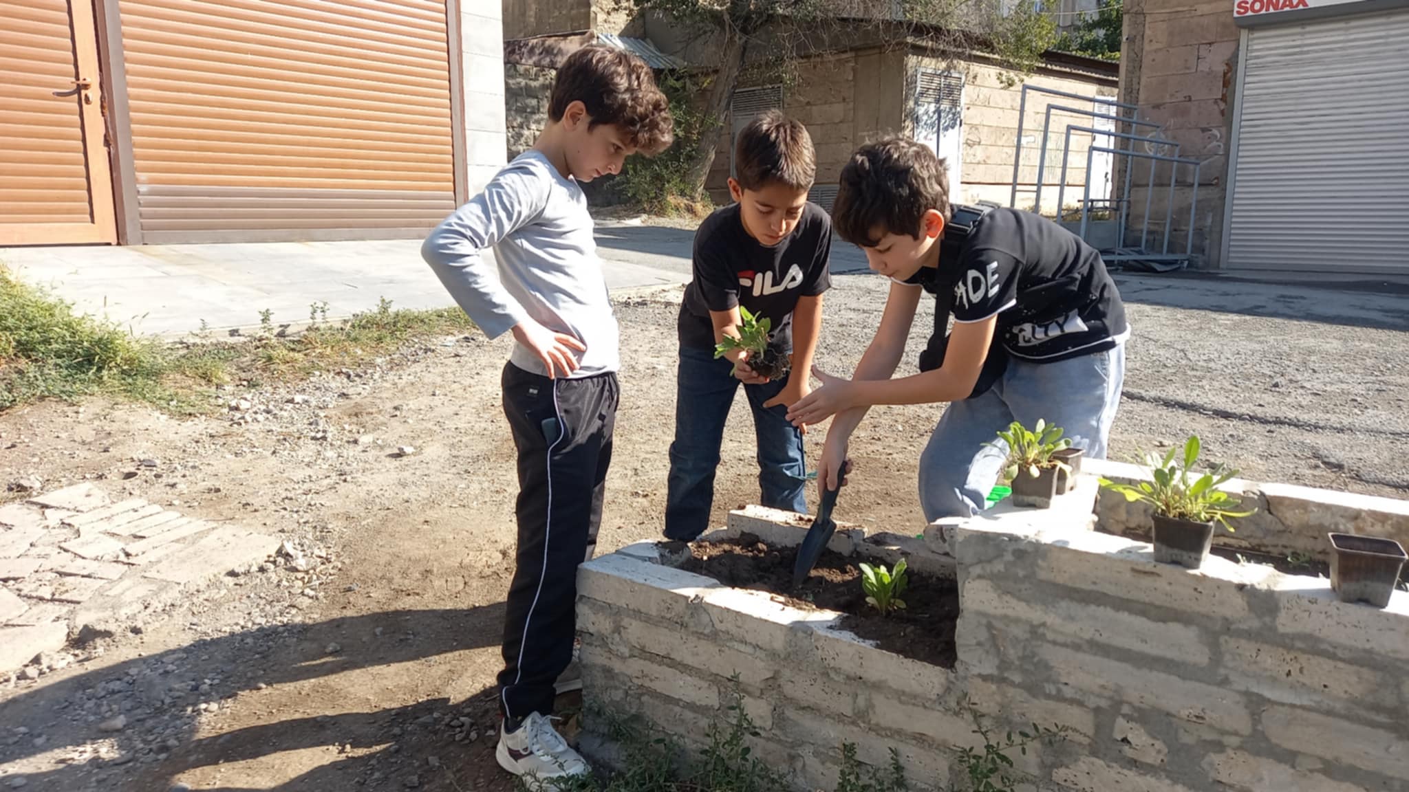 Ծաղկատունկ