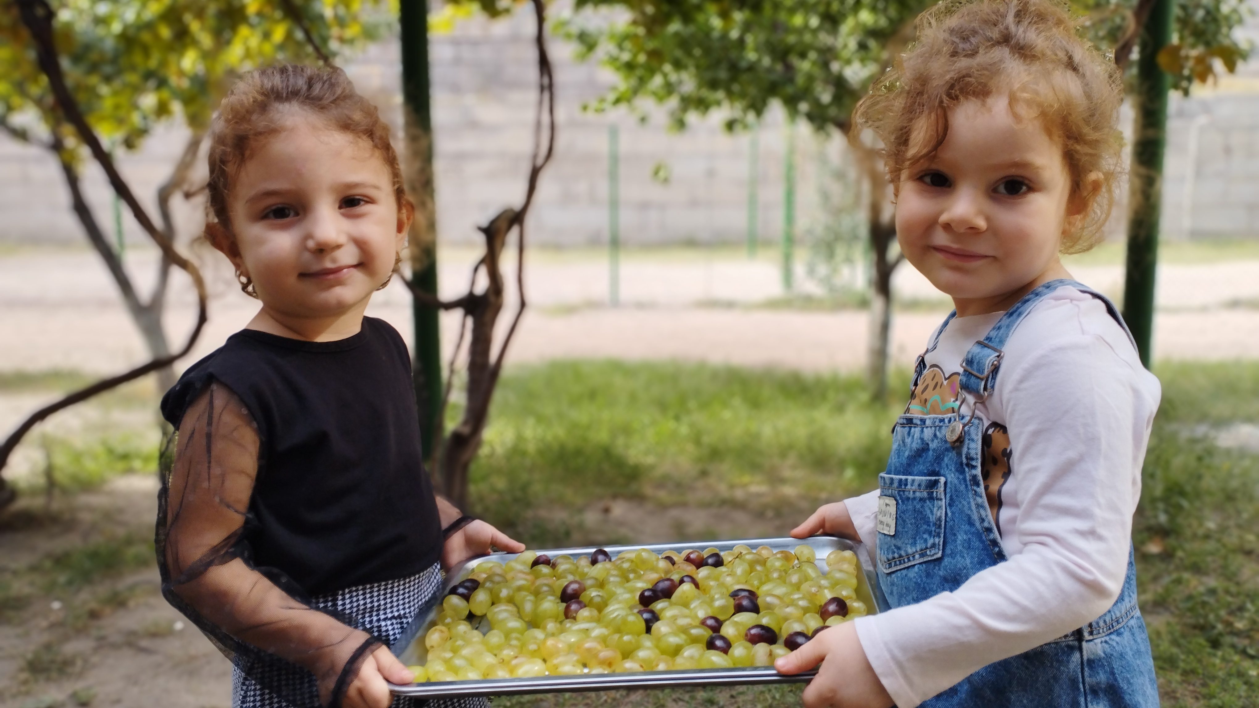 Պատրաստում ենք չամիչ