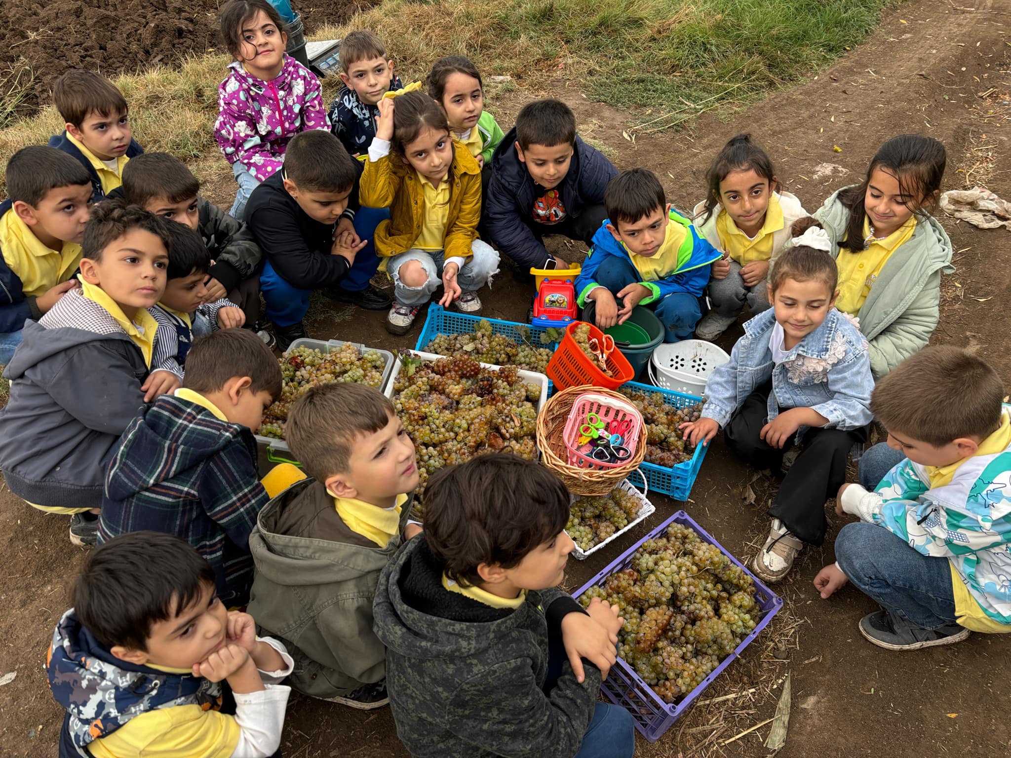 Բաղը քաղինք, խաղողը տարանք