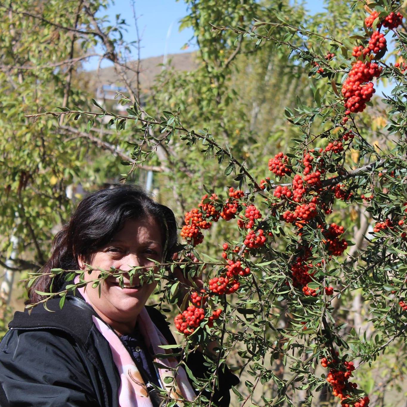 Շնորհավորանք