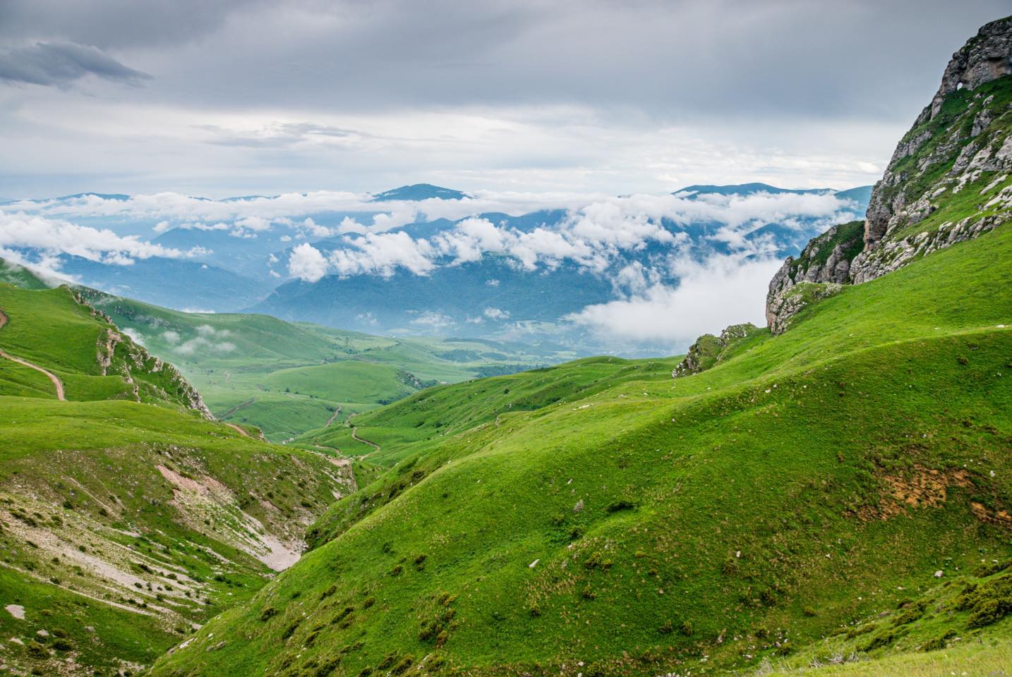 Բնագիտության ապրիլյան ֆլեշմոբ