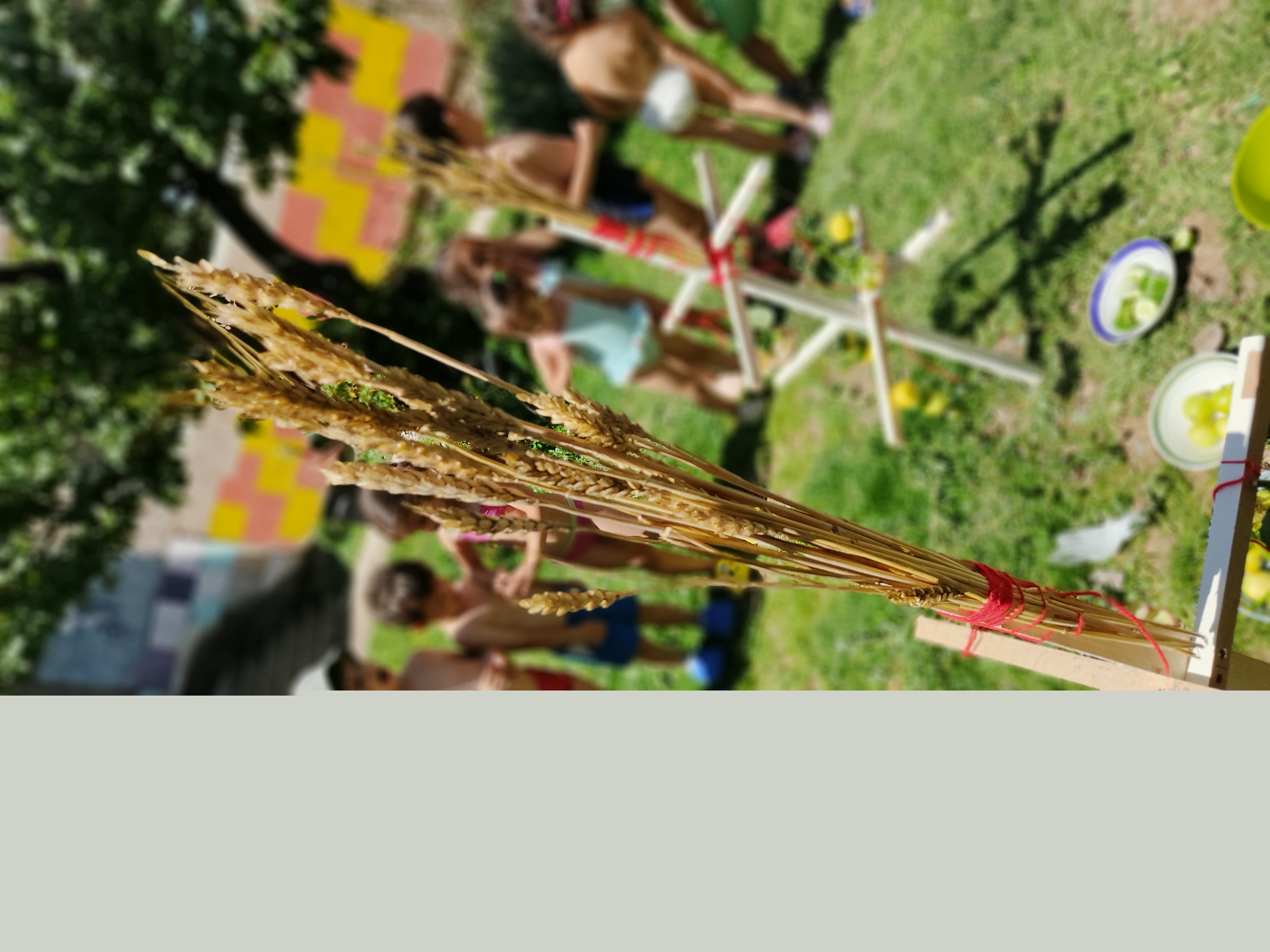 Ծիսական գործունեություն