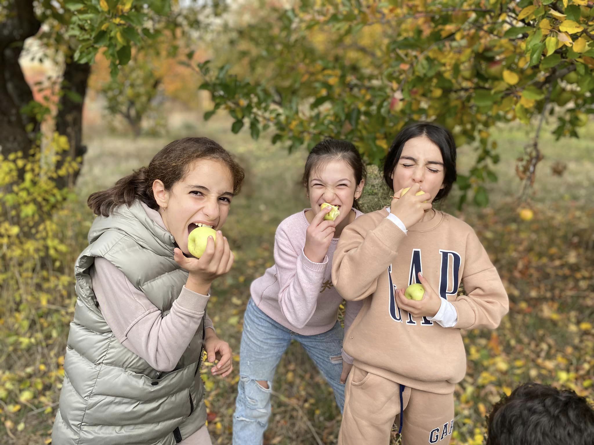 Երկարացված օրվա ճամբար․ հոկտեմբերի 30-ից նոյեմբերի 3-ը