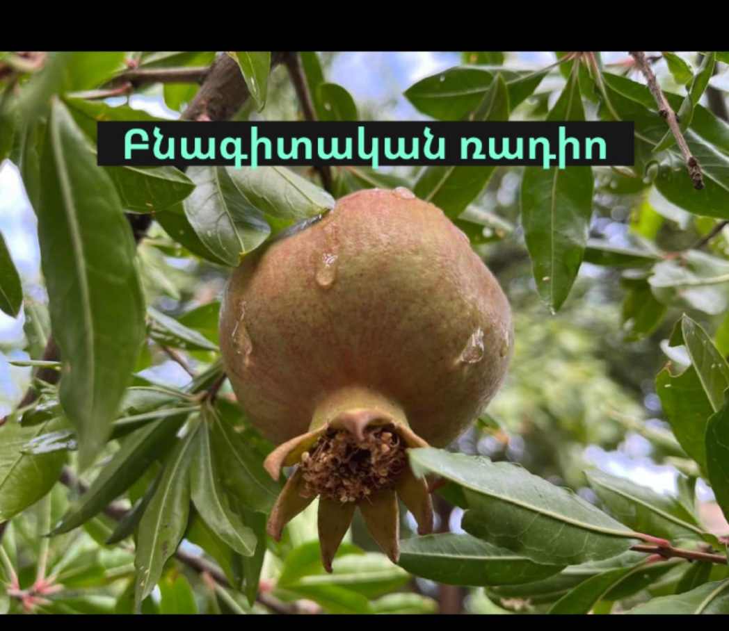 Եթերում է բնագիտական ռադիոն