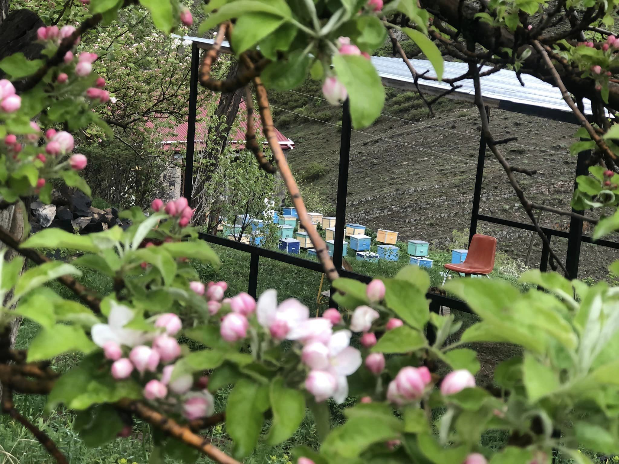 Գարնանային Արատես
