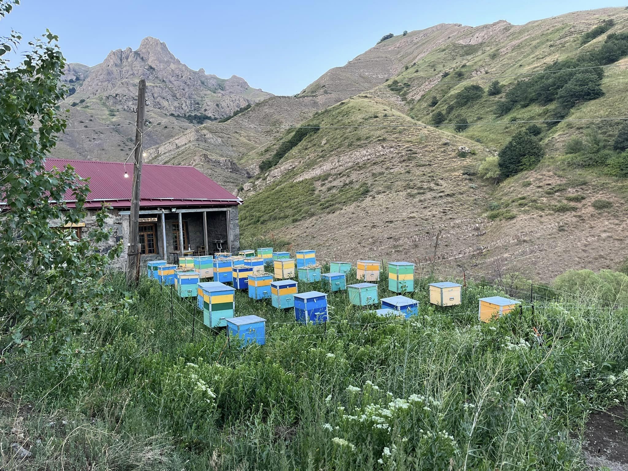 Մեղրաքամի ծեսն Արատեսում