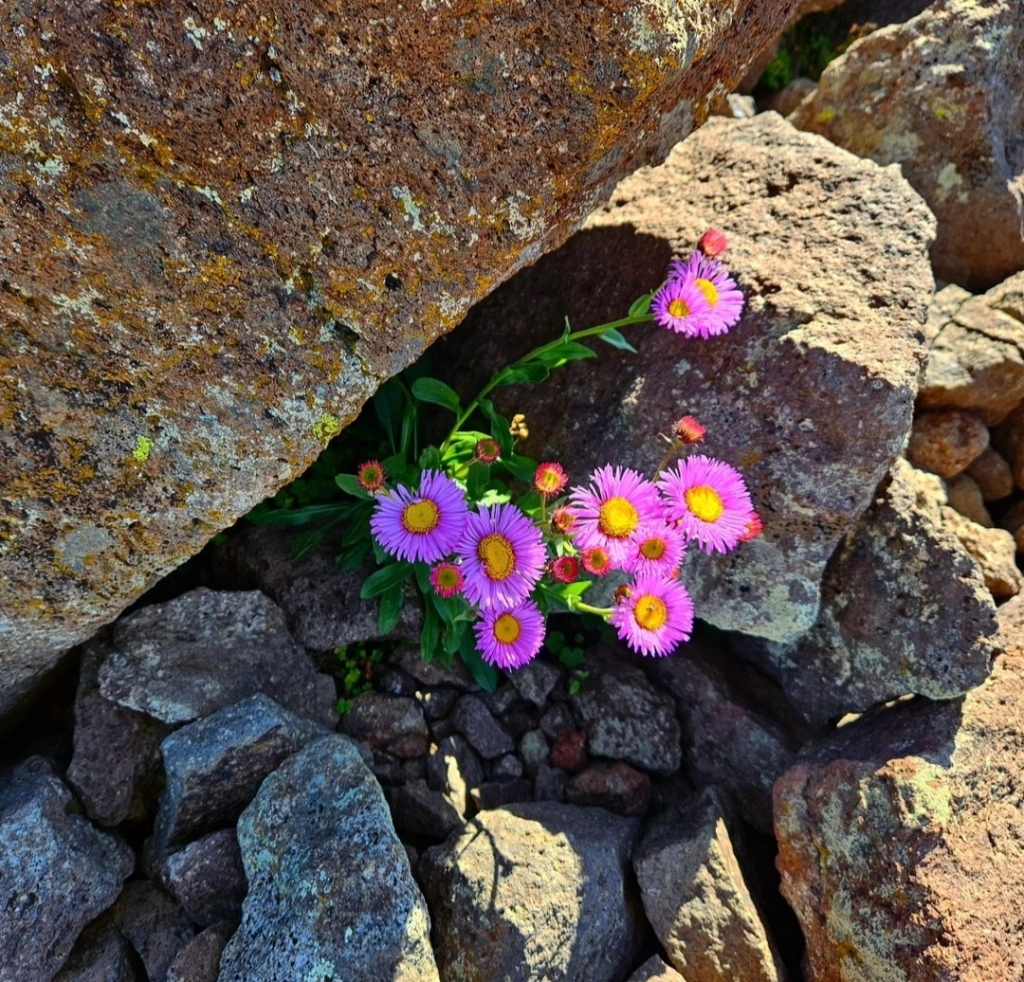 Իմ անվան նշանակությունը