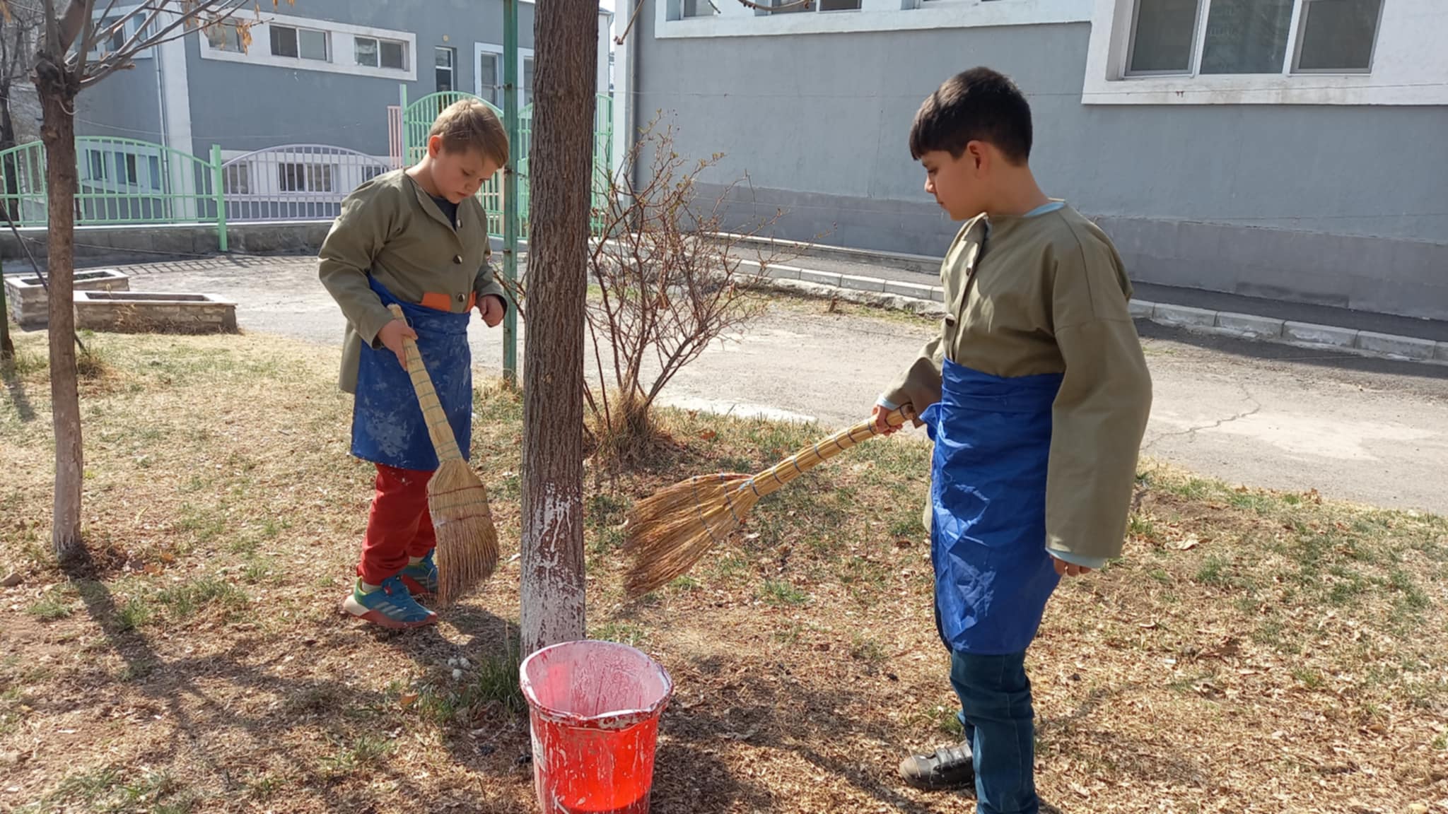 Ծառերի կրապատում