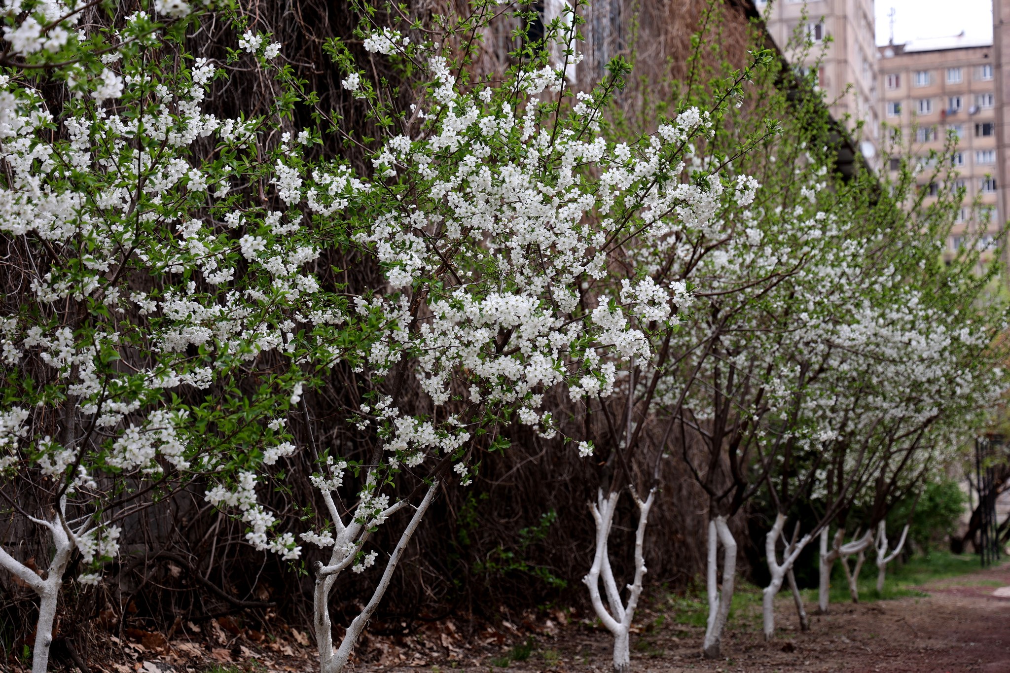 Ապրիլի 28