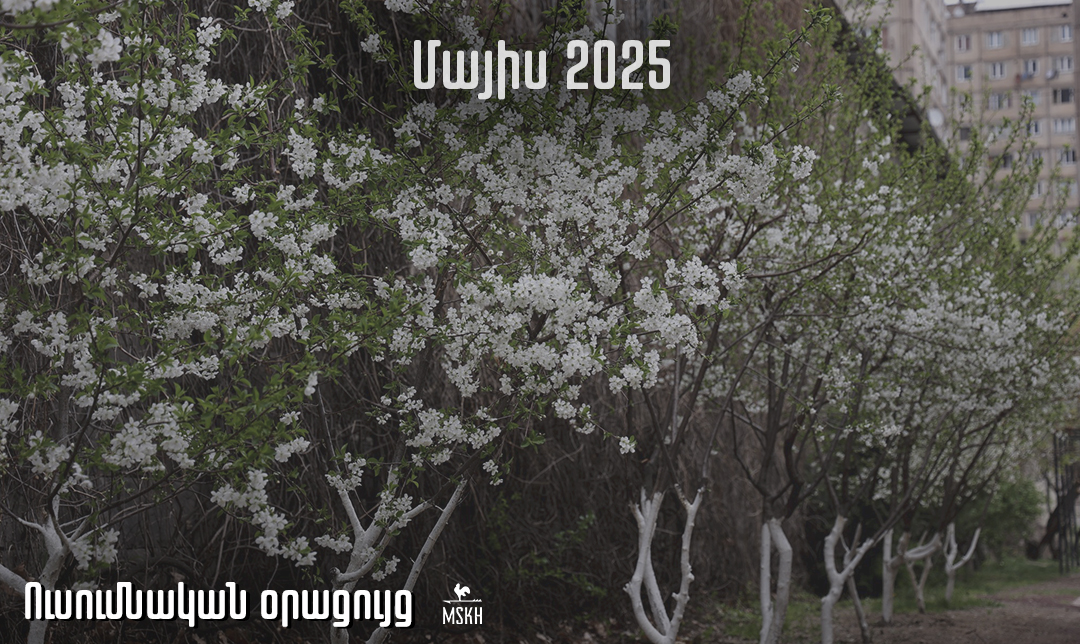 Մայիս 2025