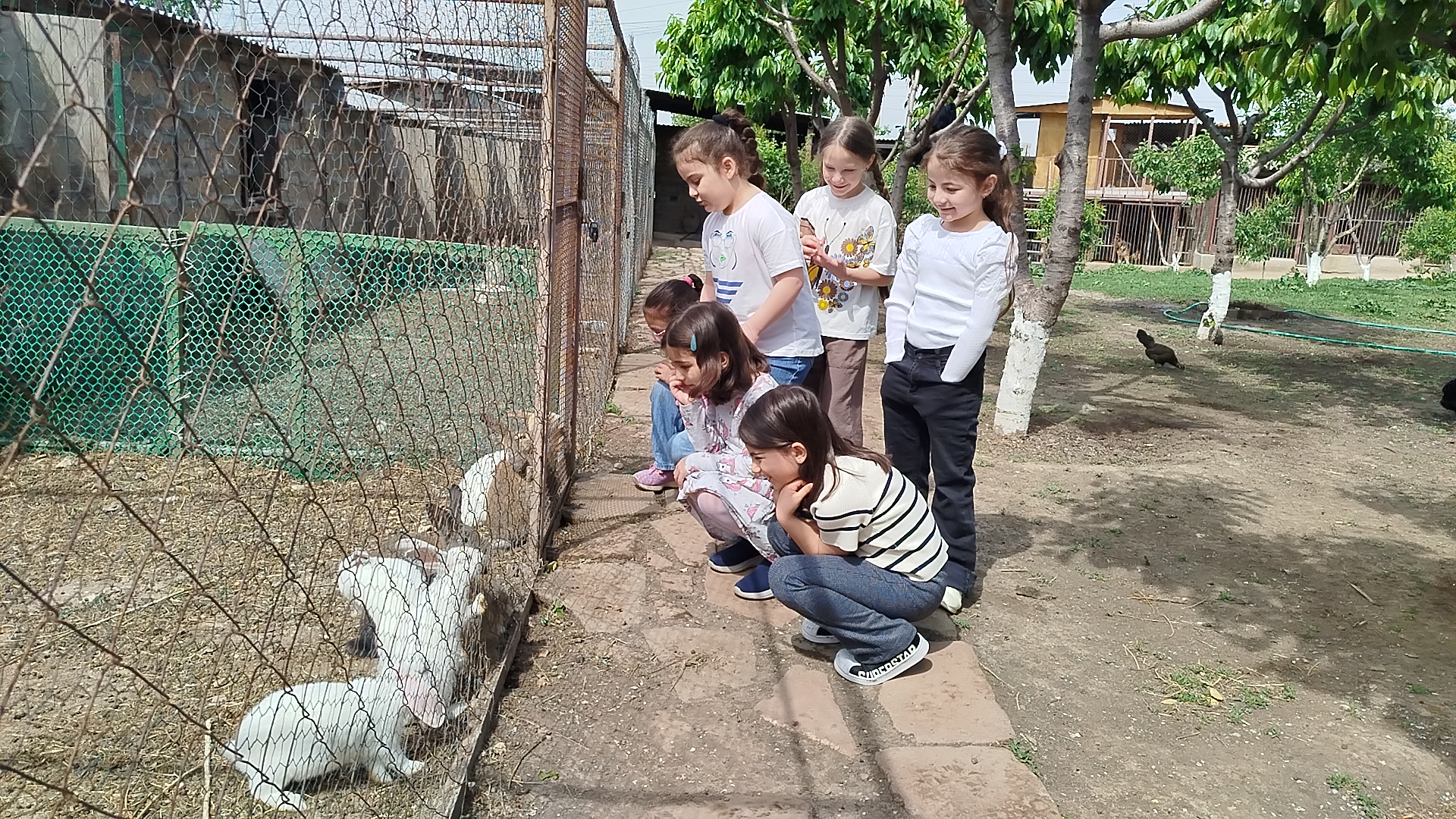 Ռոդարիական զրույց ուսումնական ագարակում