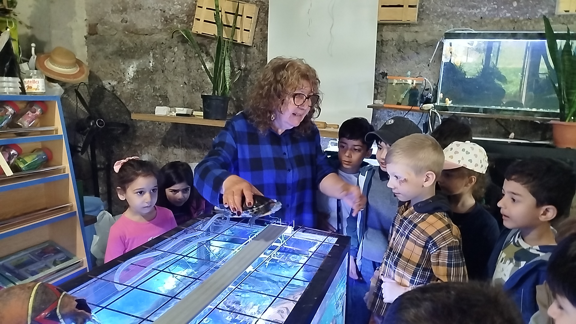 Հարցասերի օրագիր, դանդաղաշարժ կրիաներ, թե․․․