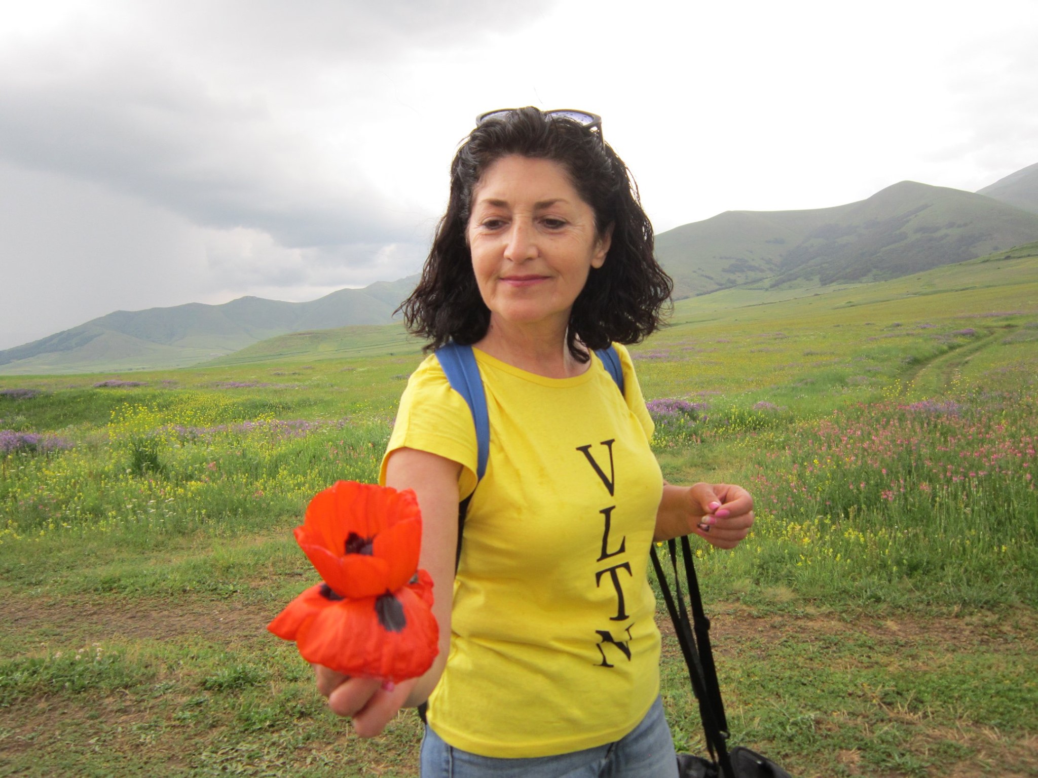 Շնորհավորանք