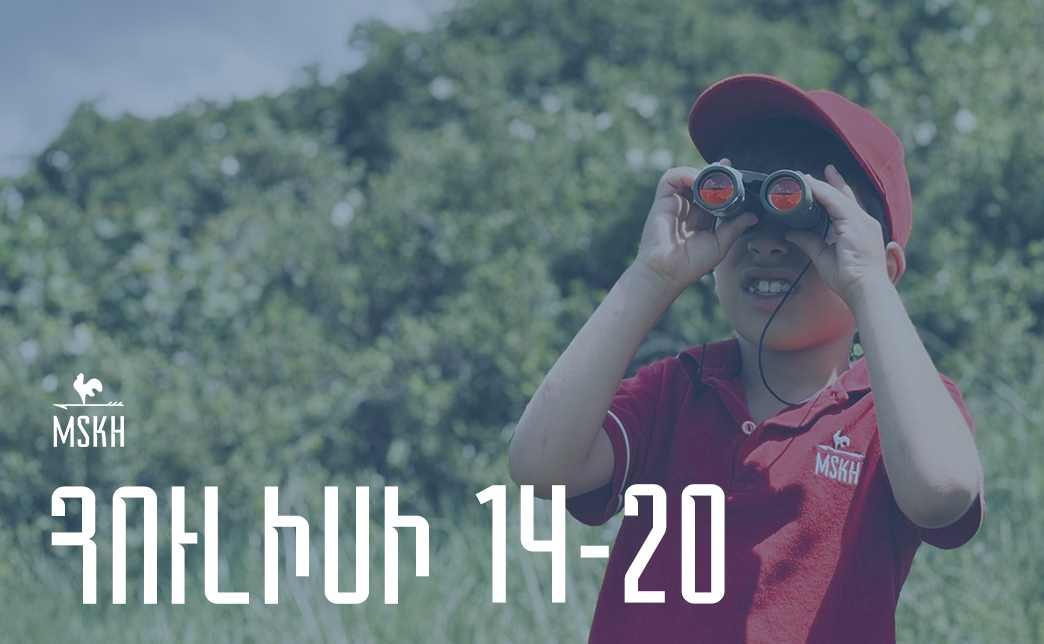 Հուլիսի 14-20