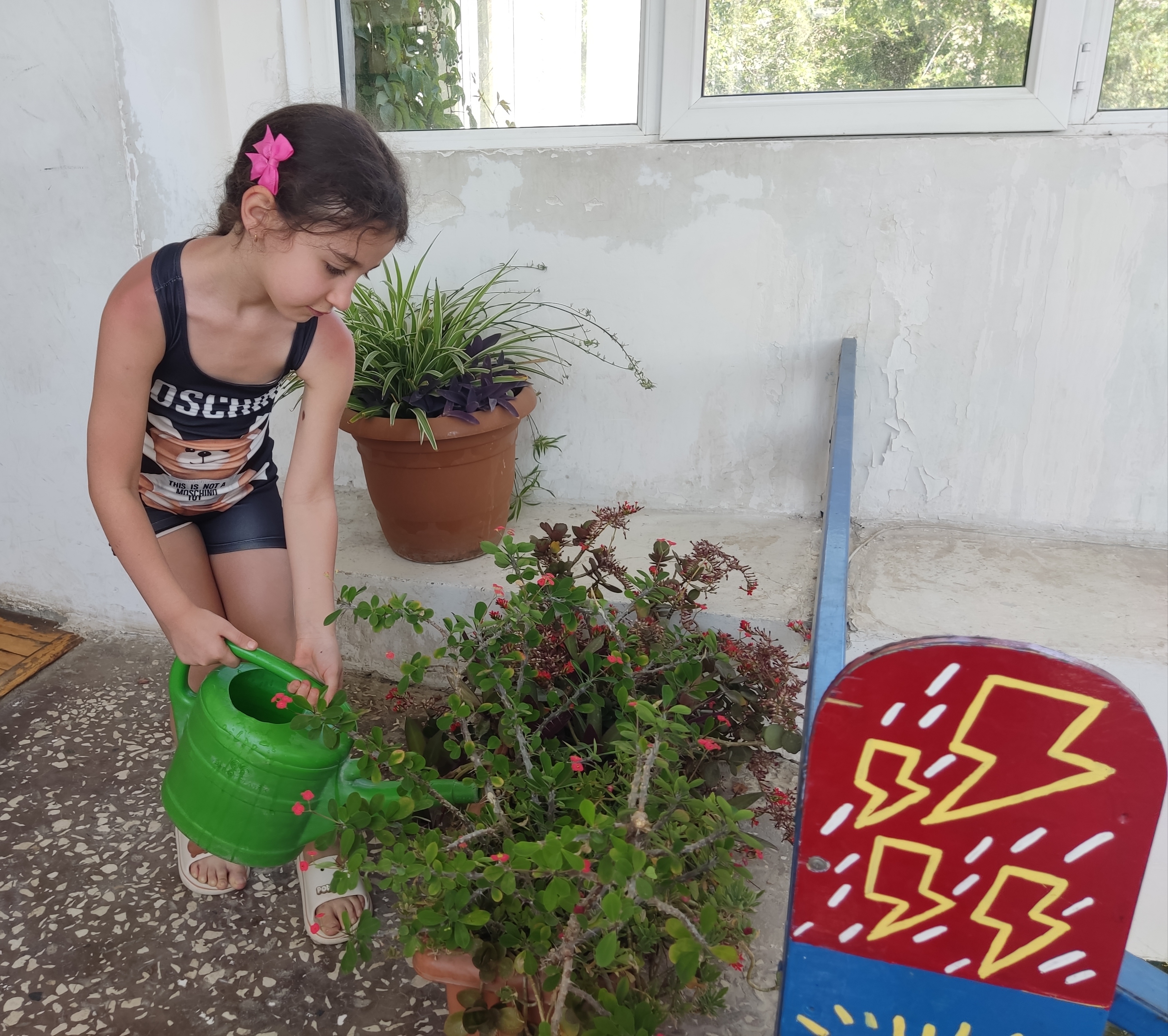 Ամառային  ճամբար