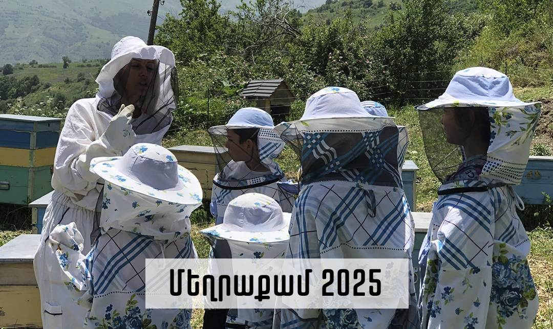 Մեղրաքամի ծես