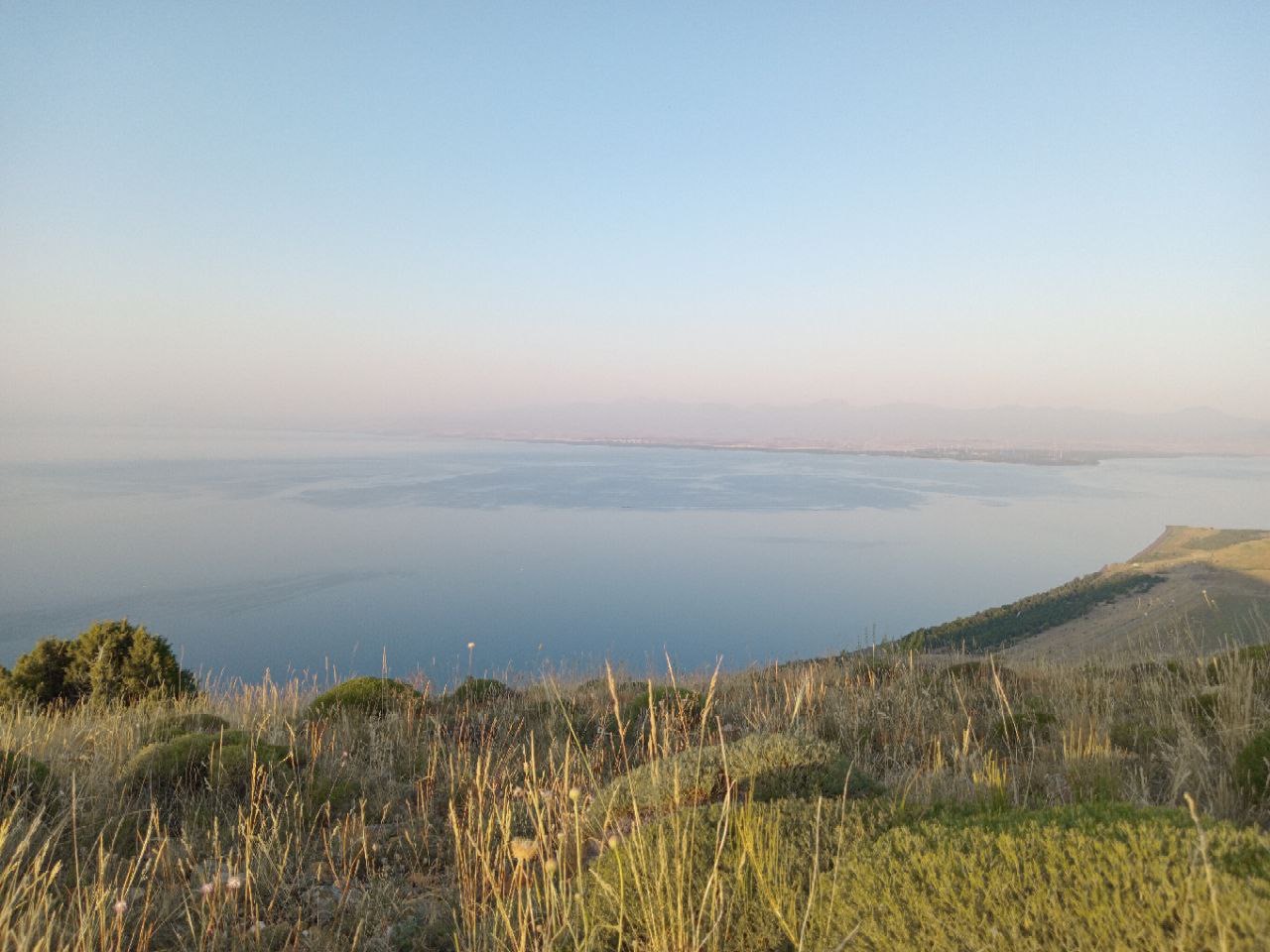 Արտանիշյան ճամբար
