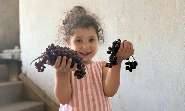 مراسم انگور در باغ خانوادگی
