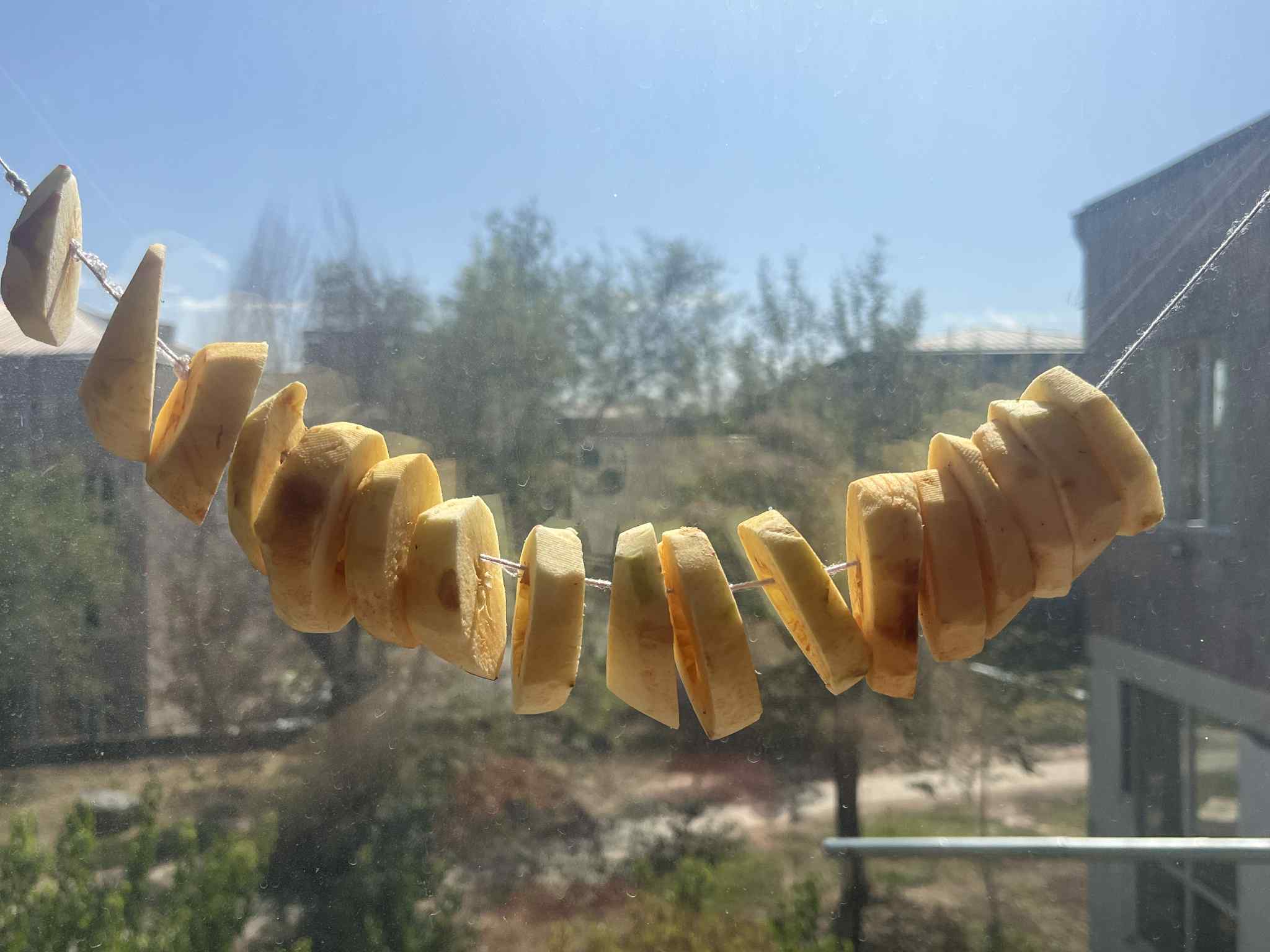 Խնձորաչիր
