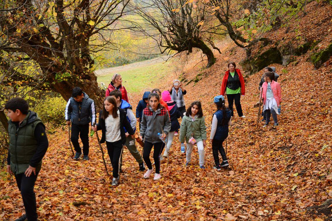Բնագիտության ֆլեշմոբ։ Հոկտեմբեր