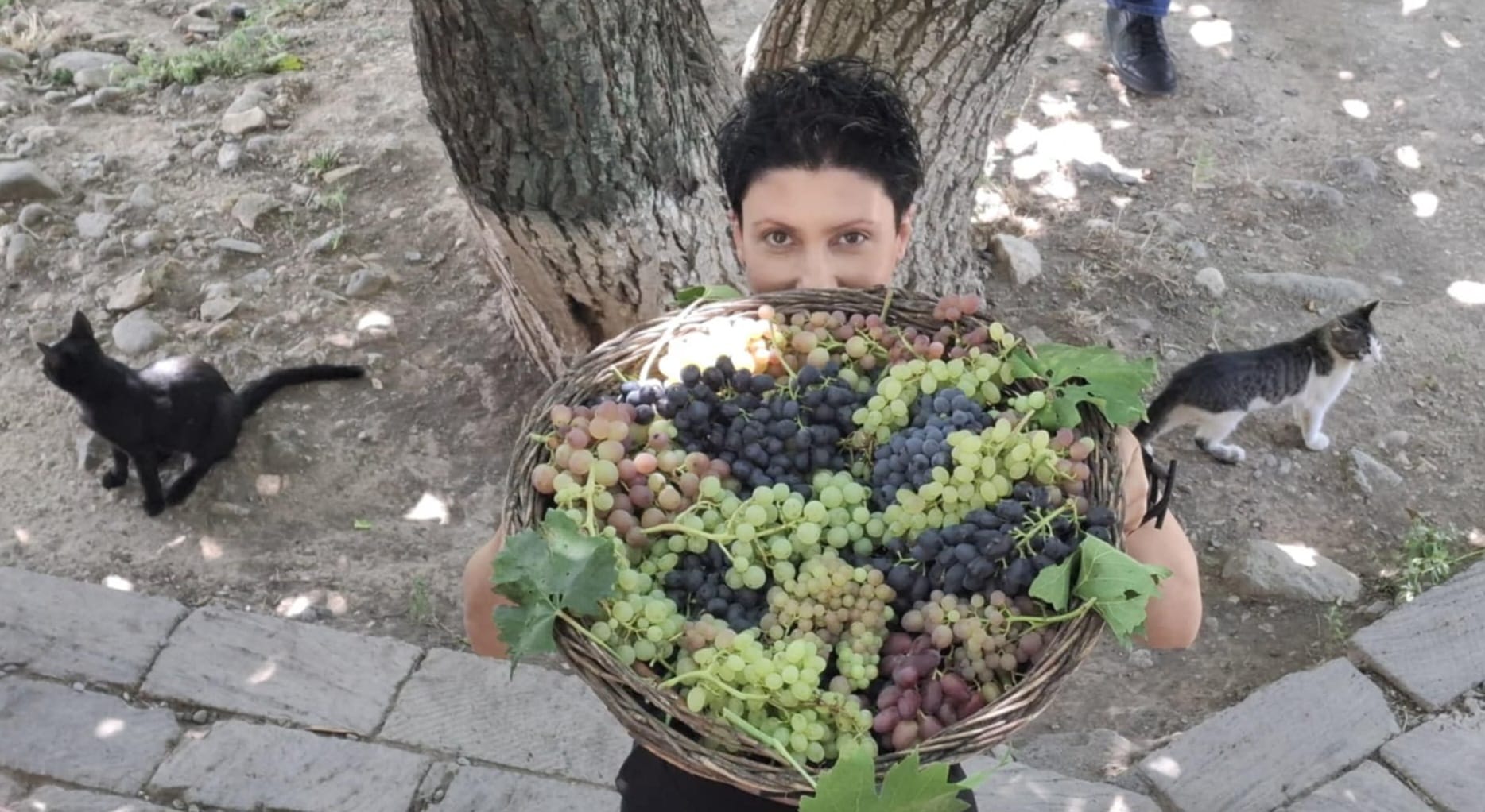 Շնորհավորանք