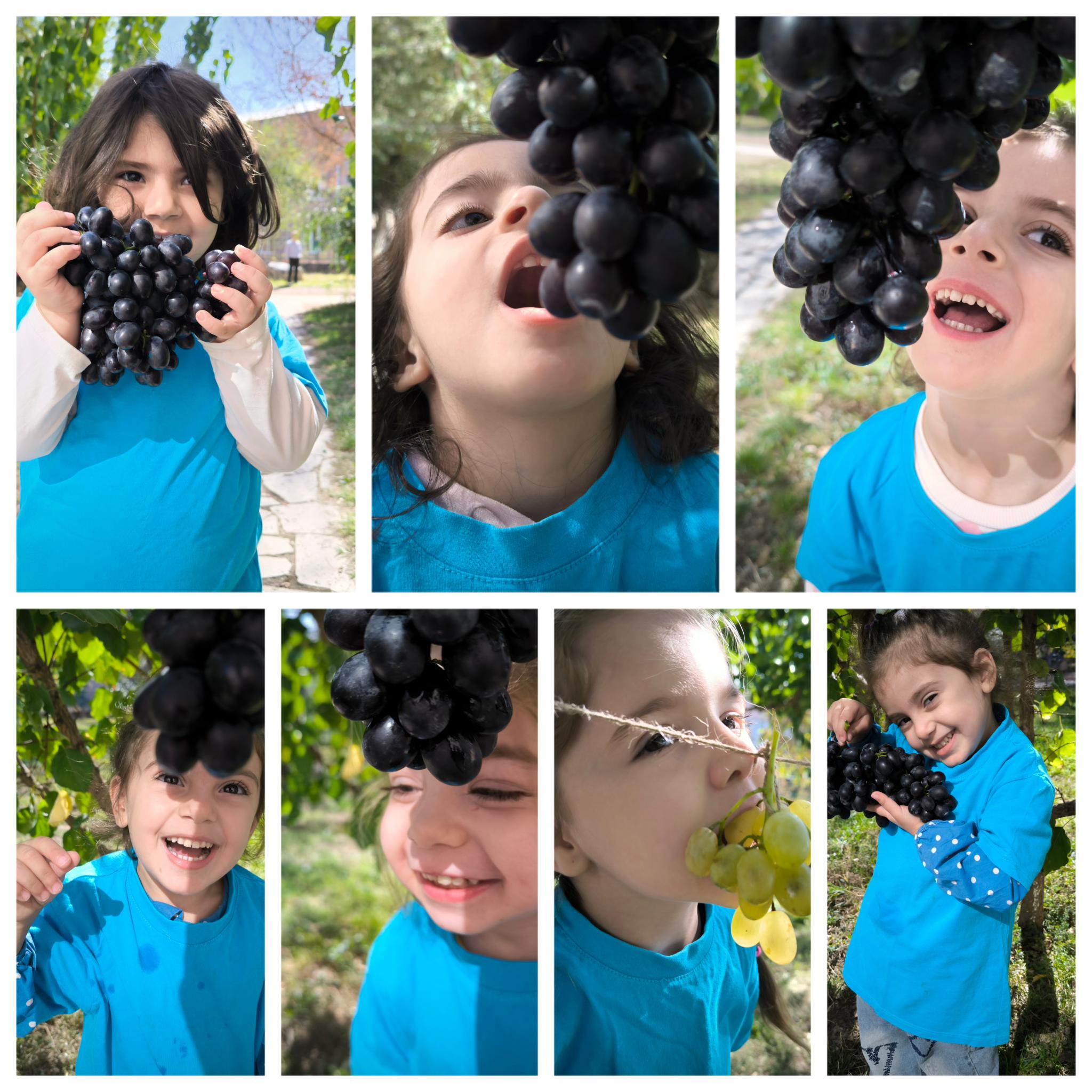 Խաղողածես