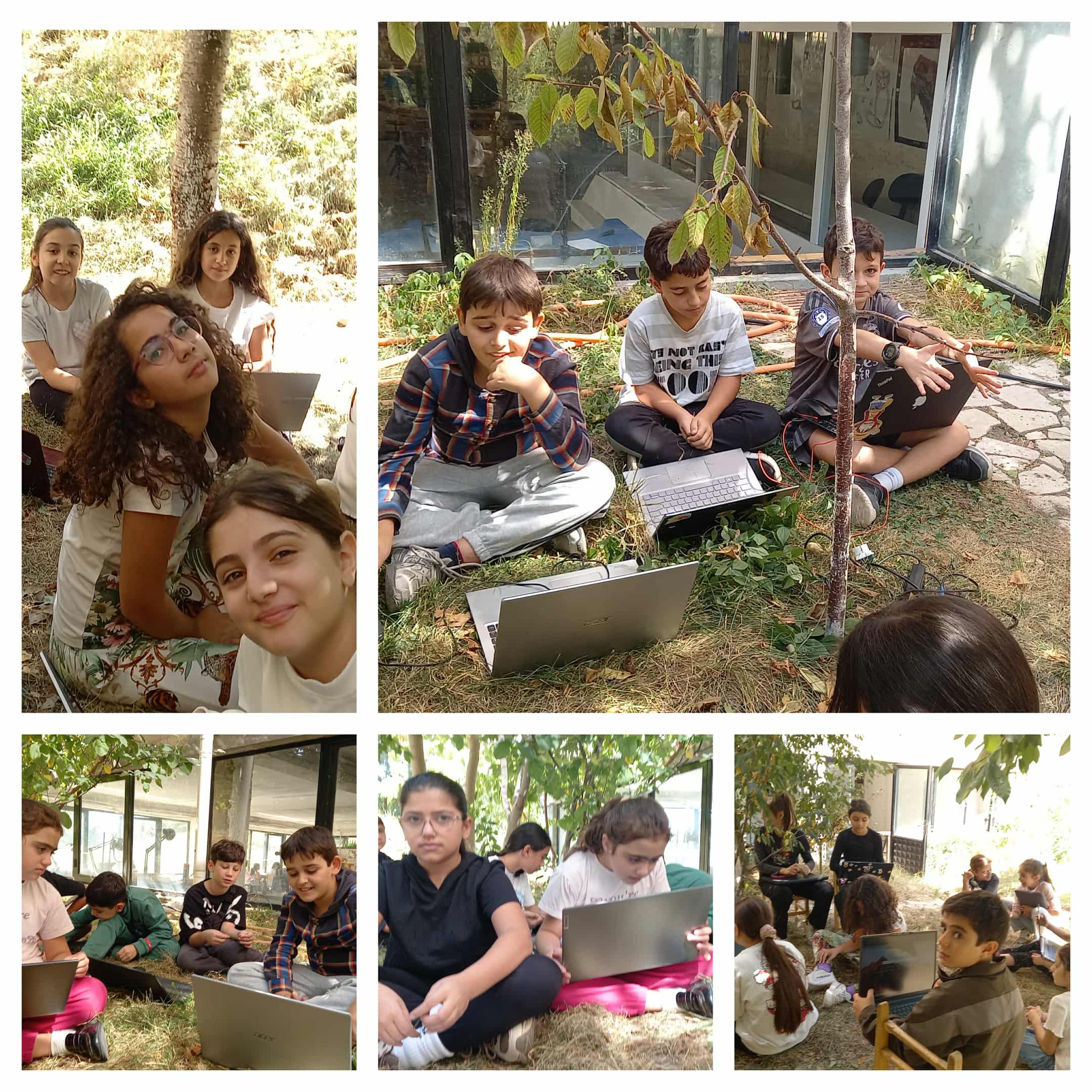 Занятие на открытом воздухе " История одного дерева"