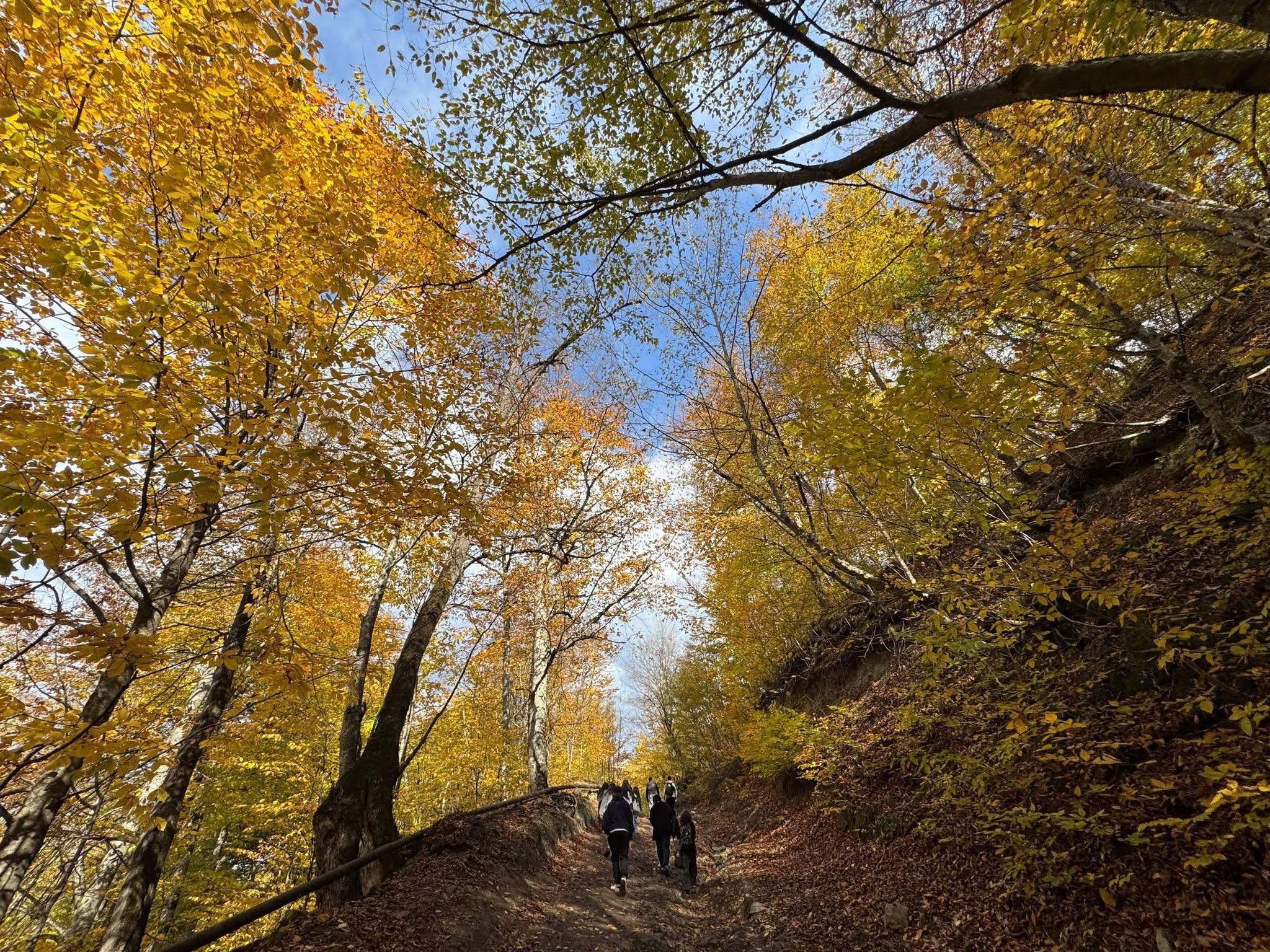 Դեպի Տավուշ