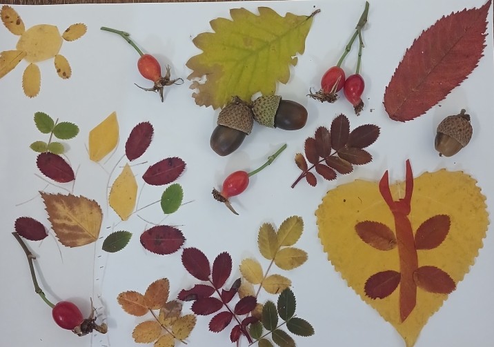 «Ուսումնական աշուն» նախագծի ամփոփում