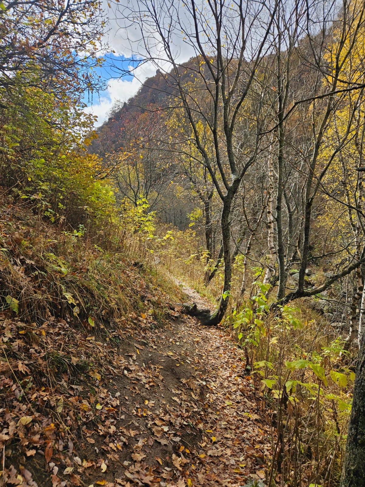 Աշնանային քայլարշավ դեպի Հանքավանի և Մեղրաձորի ջրվեժներ