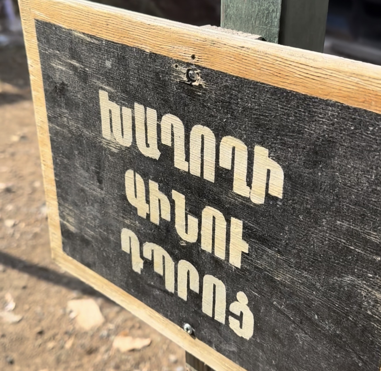 Խաղողի գինու դպրոցում