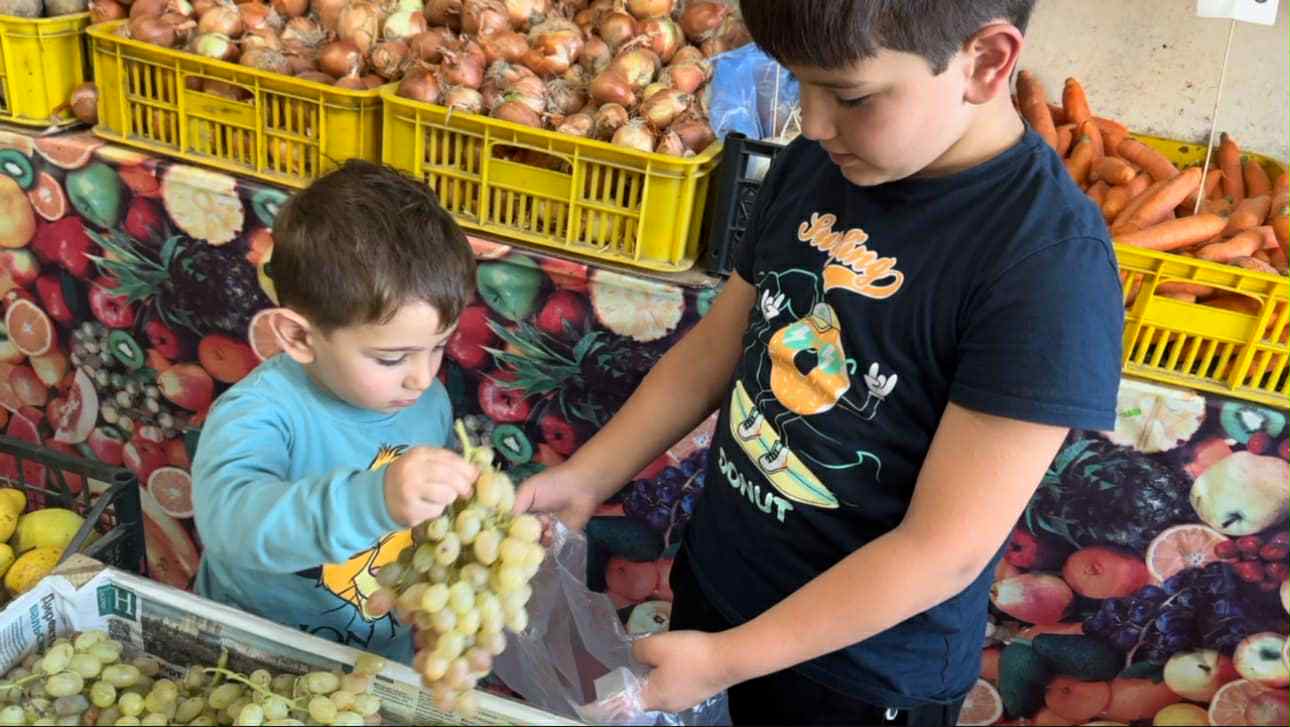 «Խաղողածեսն» ընտանեկան պարտեզում