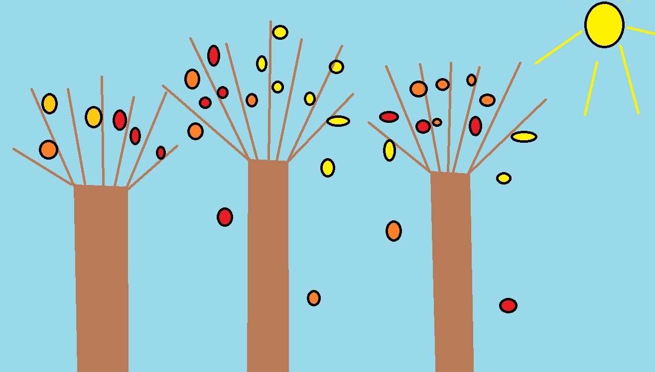 Ուսումնական աշուն․ ամփոփում