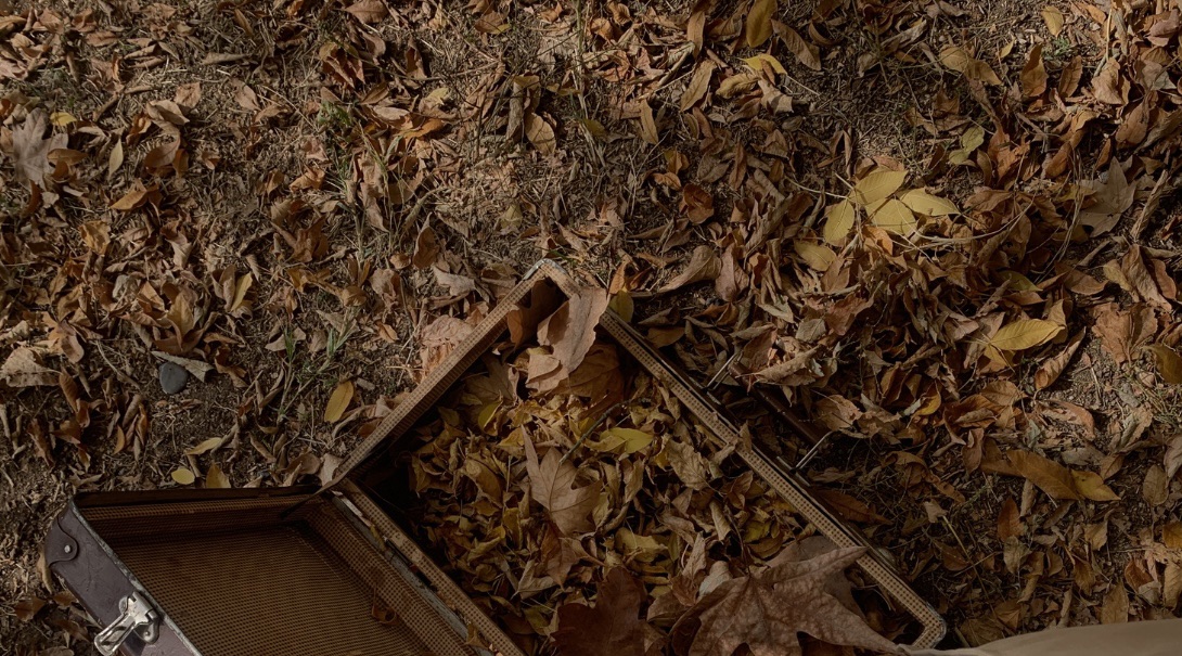 «Ուսումնական աշուն» նախագծի ամփոփում